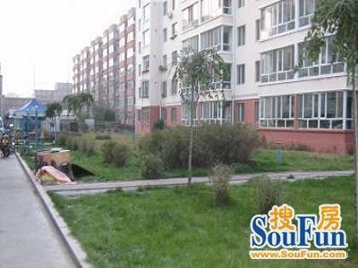 金家村1号院实景图