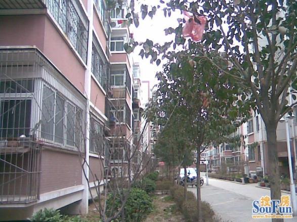 未来花园实景图