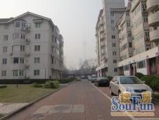 天娇园洋房低楼层2室小区安静环境好1楼带小院采光无遮挡