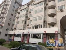 天娇园洋房低楼层2室小区安静环境好1楼带小院采光无遮挡