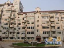 天娇园洋房低楼层2室小区安静环境好1楼带小院采光无遮挡