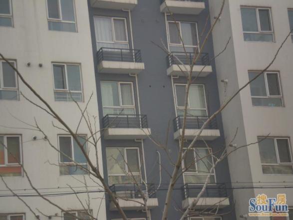 加来庄园一期西区实景图