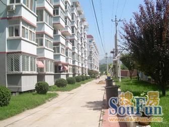 鲁新小区实景图