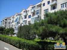 圆明园花园别墅平层四居使用率高户型独特