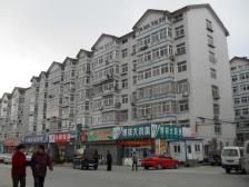 南向精装两居室小户型采光好直接住