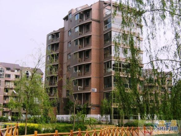 大西洋新城E区实景图