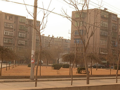  ����¥1��1��1���ϳ���800.00Ԫ/�³��� 