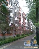 东大桥路3室1厅东西