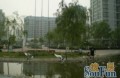 房源图片