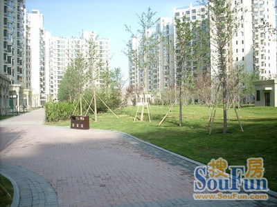 珠江奥古斯塔城邦实景图