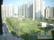 珠江逸景6室3厅西南
