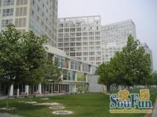建外soho西区1室1厅东北