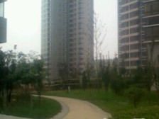 未来城 2室2厅 南