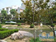 此房中间楼层,采光通风效果好。价位可以谈。