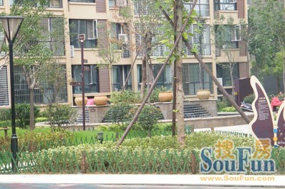  �Ƽ���С��2��1��1���ϳ���900.00Ԫ/�³��� 