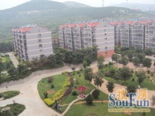 铁路南苑 3室1厅 西北