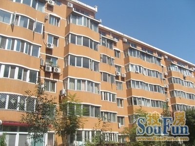 机场樱花园六区实景图