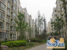 2023年全新整装 私家花园 阳光房 高门大户 拎包入住