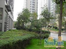 南阳路 黄河路 花园小区 双气 大四房