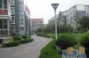 宝盛里观澳园实景图