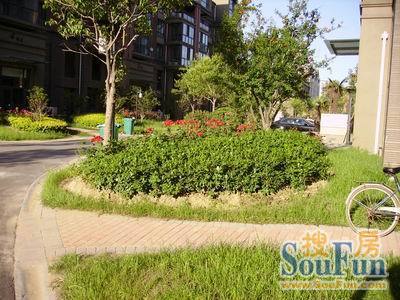  ������ۡ 