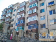 桃仙 南北通透 光线好 无坡 小区安静