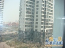 河东区2008年电梯房 精装修 中楼层 正规南阳一居室