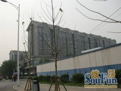 宝盛里观澳园实景图