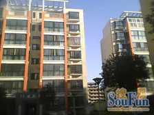 西流湖公园,满五年,没有增值税,双气,采光好