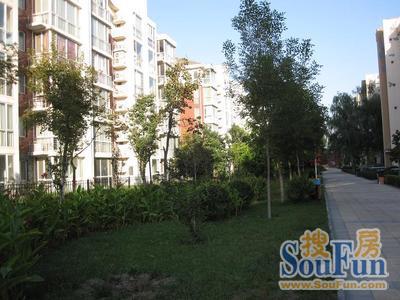  �����ٷ�2��1��2���ϱ�����11000.00Ԫ/�³��� 