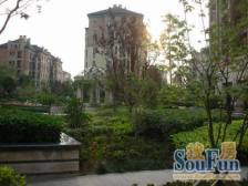 绿城置业 低密度洋房 大一居室