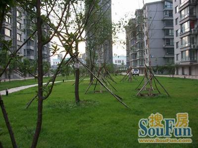  �η�ٳ��1��1��1�����ϳ���2000.00Ԫ/�³��� 