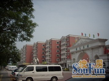 绿岛家园实景图