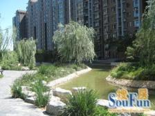 商品房,环境好,全明格局,满五年一套,近天坛医院,鸿业一区