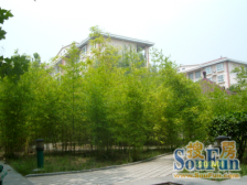 第八大街 满五 商品房 双卫生间 朝南 临地铁 交通便捷