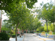 成熟配套 交通便利 出行方便 居住舒适 得房率高!