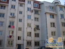 八一路 鸣鹤西巷 2楼 南北巷 没有坡 位置好