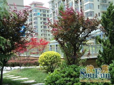  ����·��С��2��1��1���ϱ�����1250.00Ԫ/�³��� 