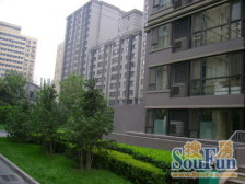 丰侨公寓2室1厅西南