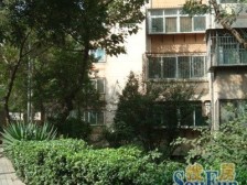 县前街9号 2室1厅 南