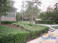 莲馨嘉园 14室3厅 南 北