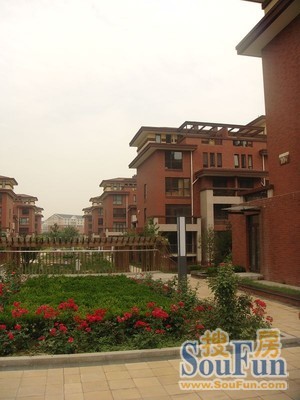 龙城花园五期实景图