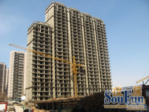 楼间距宽 位置好 采光好 落地窗 暖气好 物业好凯德茂