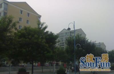 实景图