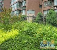 四惠·CBD旁,东恒时代一期下楼就是地铁站