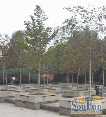 温家街小区实景图