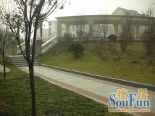 户型改造过,联排别墅,3层有电梯间,使用面积500平