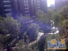 朝阳区酒仙桥丽都东镇3室4厅