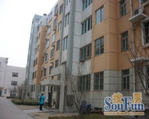 古德茂北侧东明东方洋房四室带地下室车位