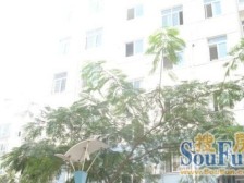 源升 2007年电梯房 稳⑧ 和 纬叁 可贷款